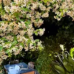 Bed & Breakfast Il Pozzo