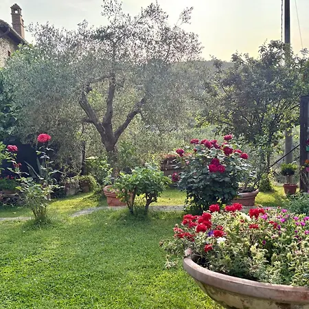 Il Pozzo *