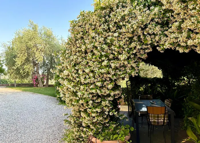 فندق مبيت وإفطار Il Pozzo 3*