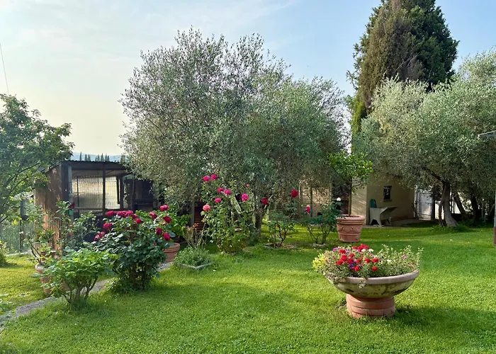 Il Pozzo سينالونغا