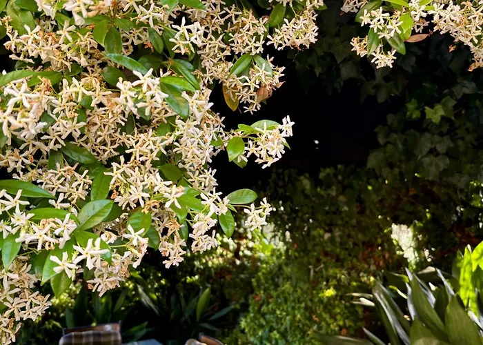 فندق مبيت وإفطار Il Pozzo
