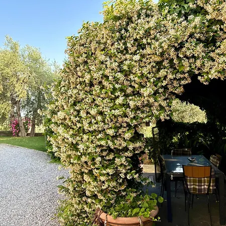 Bed & Breakfast Il Pozzo 3*