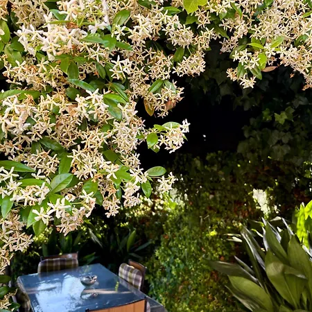 Bed & Breakfast Il Pozzo